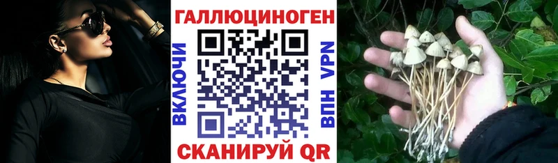 Галлюциногенные грибы Psilocybe  Купить где  Свирск 